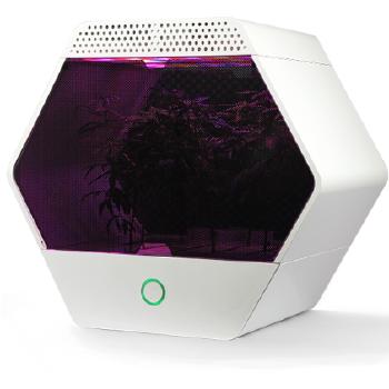 Linfa grow box with plants growing in it